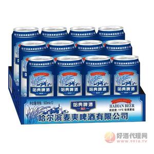 哈典啤酒500mlx12罐