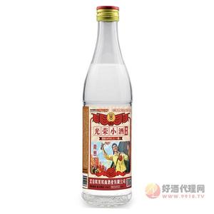 光荣小酒青葱岁月42度500ml