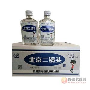 北京二锅头酒100mlx40瓶
