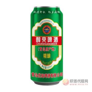 醇爽精酿啤酒500ml
