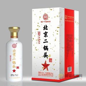 永丰牌北京二锅头百年荣耀46度500ml