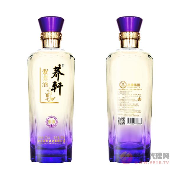 荞轩苦荞酒42度紫荞500mlx12瓶