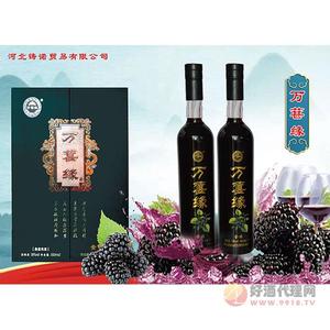 果酒 桑葚酒 万甚缘
