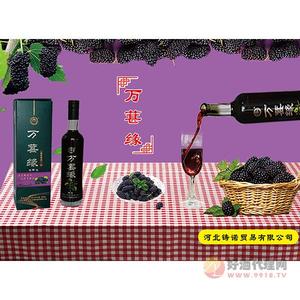 果酒 桑葚酒 万甚缘