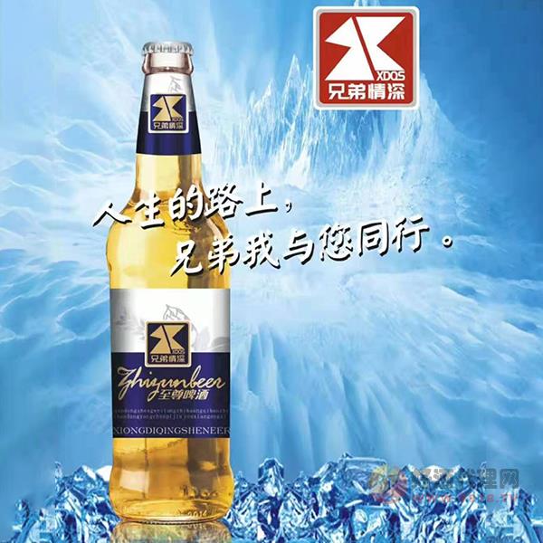 兄弟情深至尊啤酒500ml