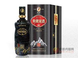 青稞窖酒生态原浆贰号500ml