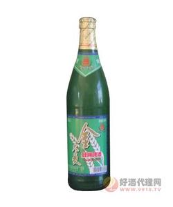 金大麦啤酒500ml