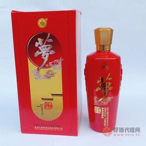 梦想成真500ml