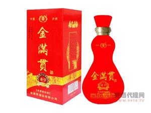 金满贯-绵柔金9  500ml