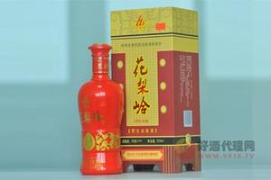 花梨岭10年老窖酒500ml