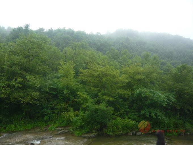 厂区风景