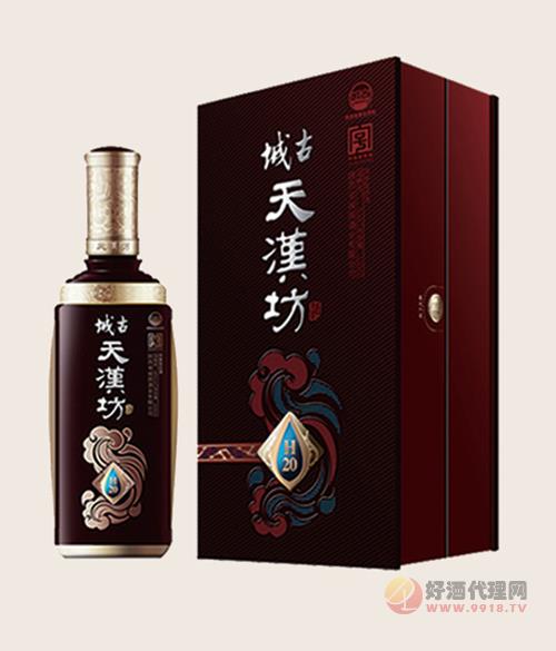 城古·天汉坊H20  500ml