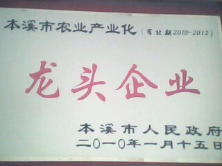 龙头企业