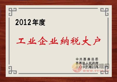 2012年度工业企业纳税大户