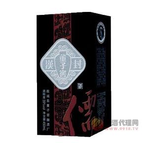 董子窖-儒蓝   500ML