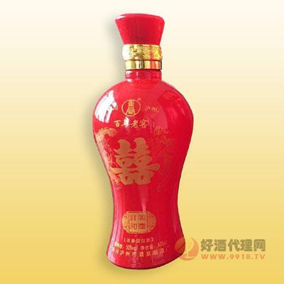 百年老窖  500ML