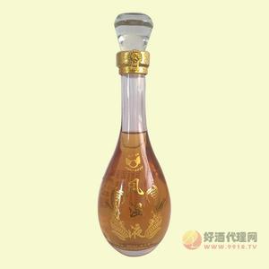 神琦力风湿液-500ml