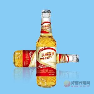 皮尔森头道麦啤酒500mlX12瓶
