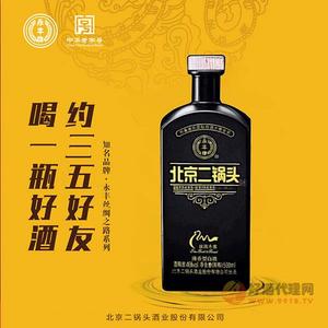 丝路46°黑武士白酒500ml